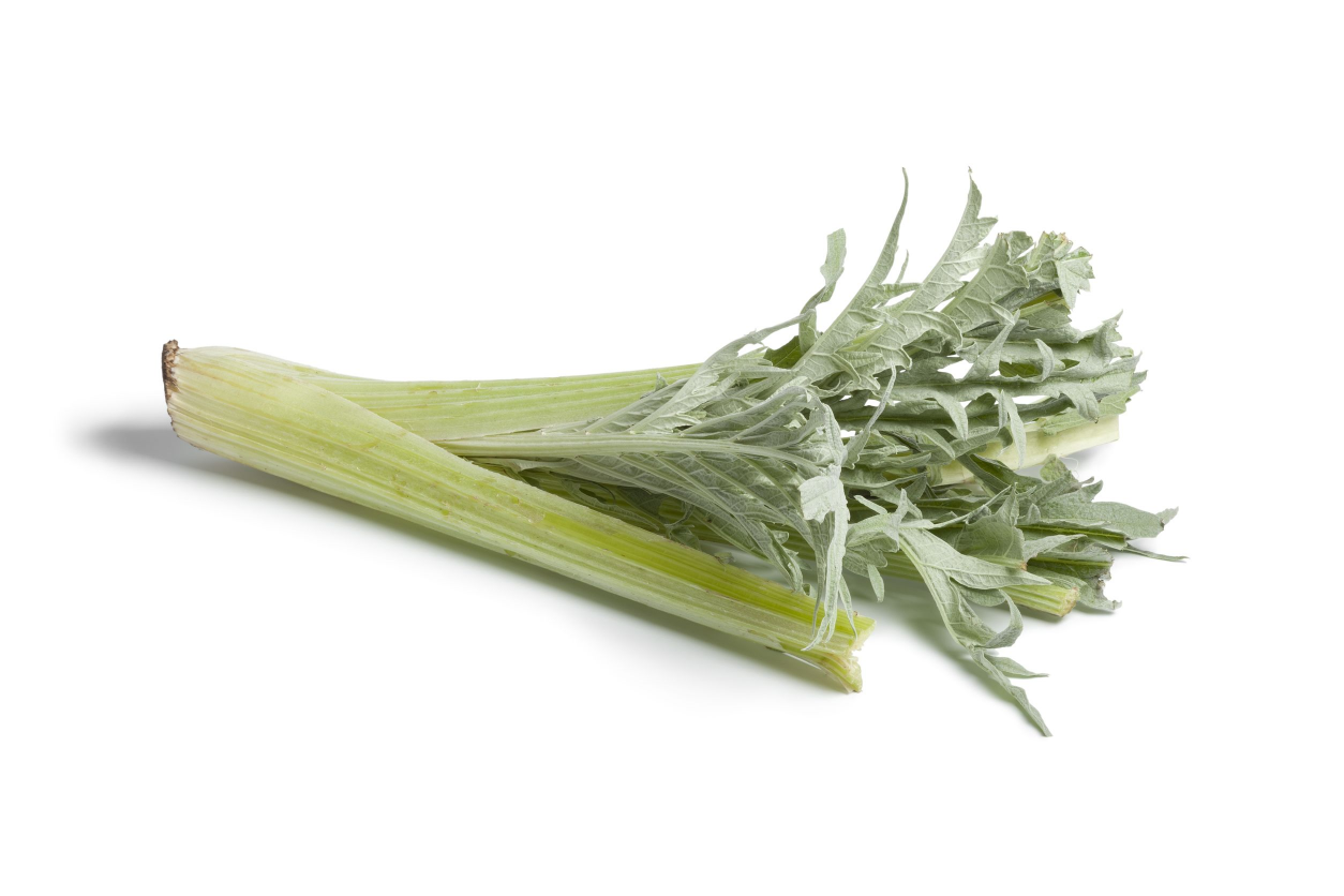 Calçot