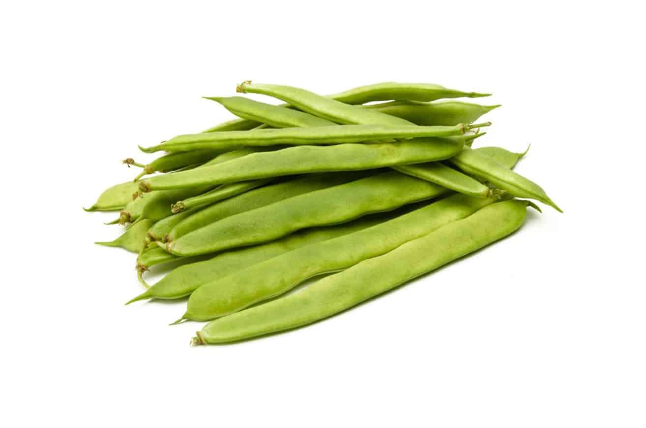 Judía verde